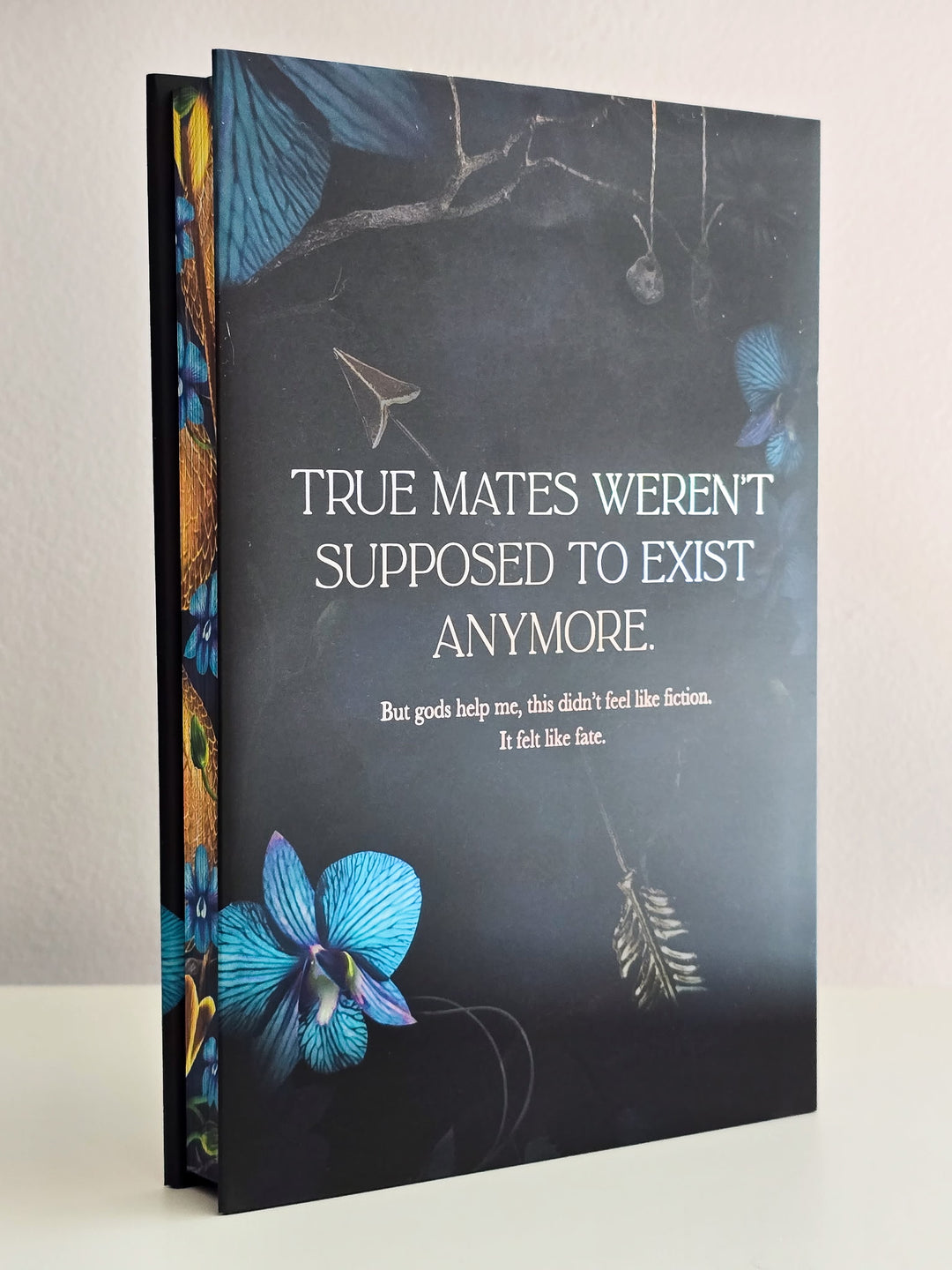 Faeted Seasons Books 1 &amp; 2