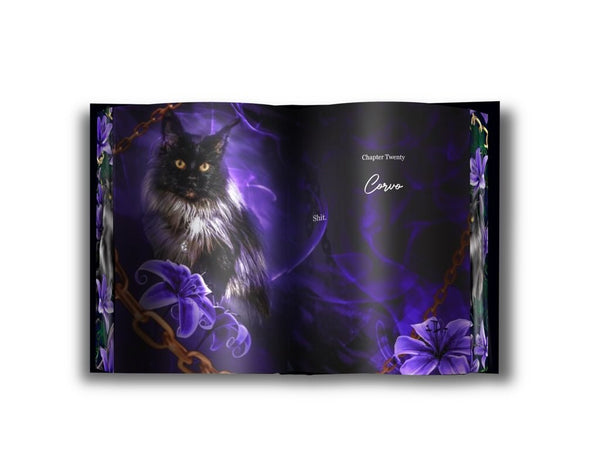 Deluxe edition detail